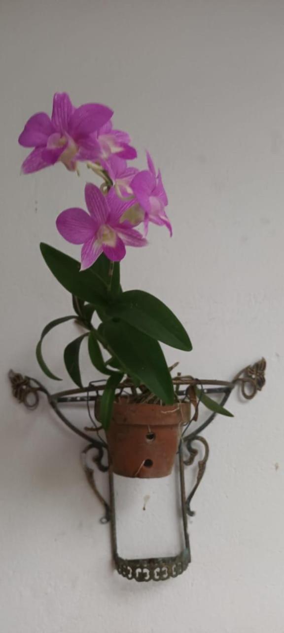 Leisure Home Colombo Luaran gambar